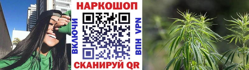 A-PVP Павловский Посад