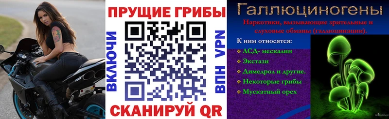 Галлюциногенные грибы мицелий  Павловский Посад 